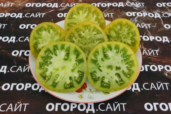 зеленые сорта томатов